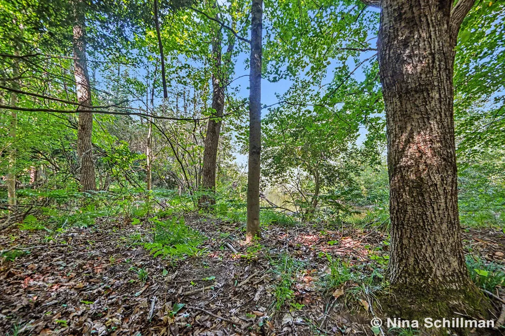 3754 E White River Hesperia, MI 49421