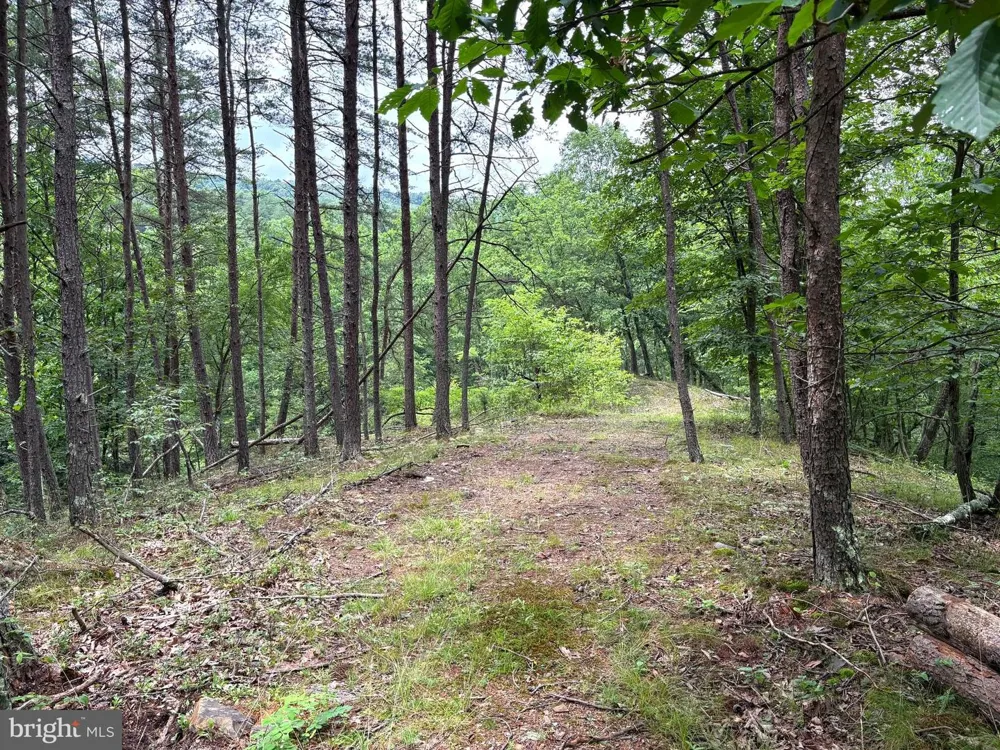 BLUFFS BLUE BEACH ROAD Springfield, WV 26763