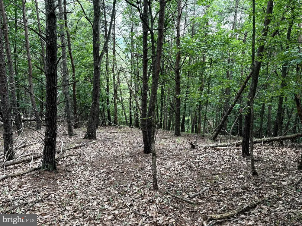 BLUFFS BLUE BEACH ROAD Springfield, WV 26763