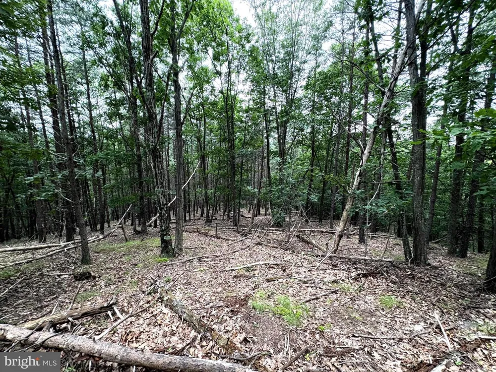 BLUFFS BLUE BEACH ROAD Springfield, WV 26763