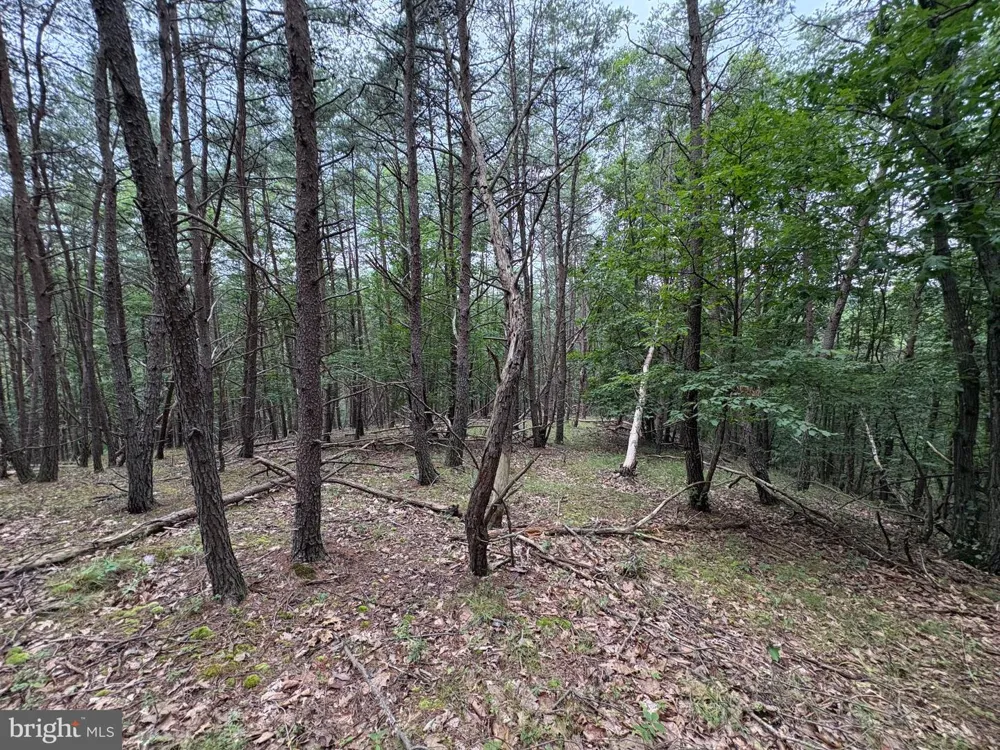 BLUFFS BLUE BEACH ROAD Springfield, WV 26763