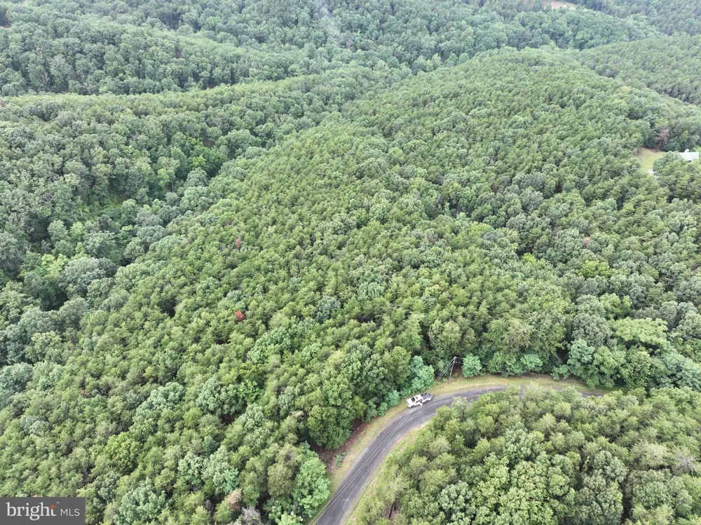 BLUFFS BLUE BEACH ROAD Springfield, WV 26763