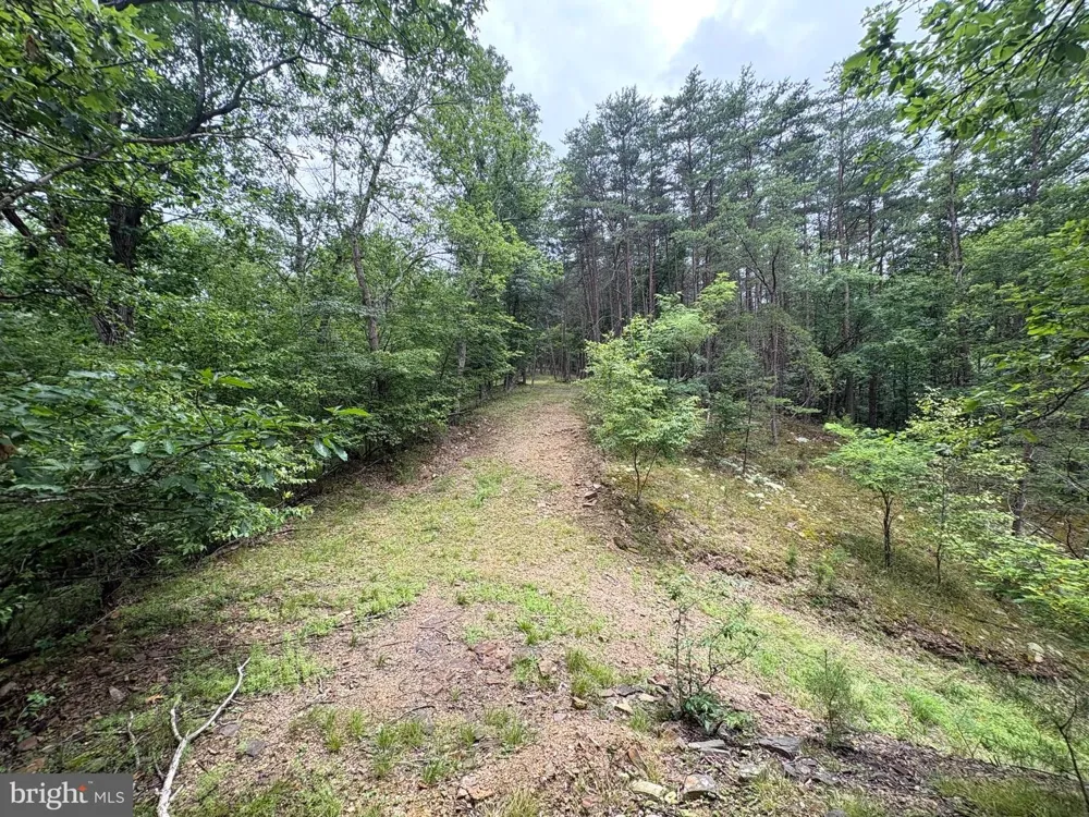BLUFFS BLUE BEACH ROAD Springfield, WV 26763