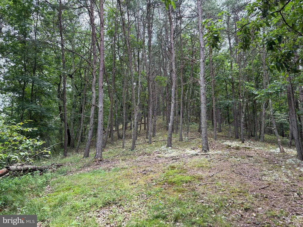 BLUFFS BLUE BEACH ROAD Springfield, WV 26763