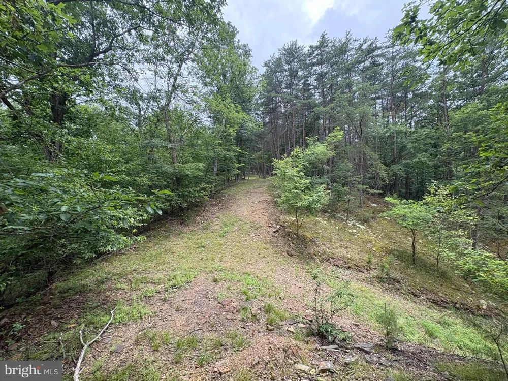 BLUFFS BLUE BEACH ROAD Springfield, WV 26763