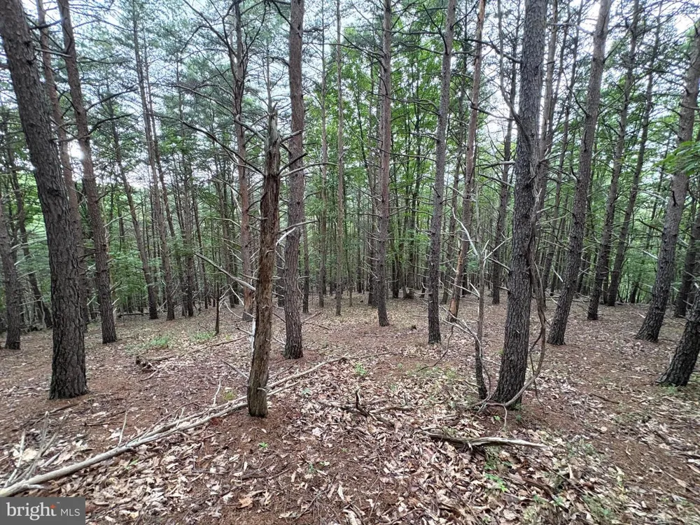 BLUFFS BLUE BEACH ROAD Springfield, WV 26763