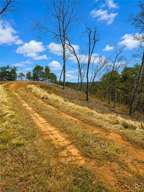 0 Canoe Way Talking Rock, GA 30175