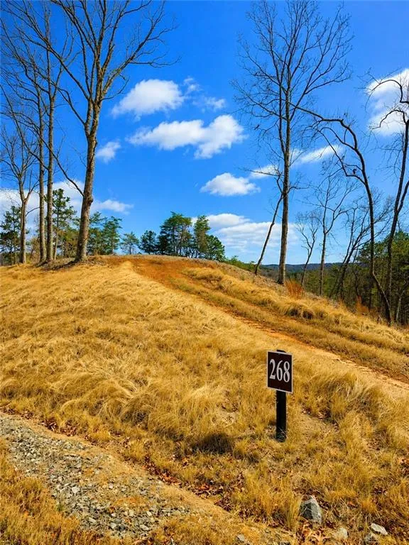 0 Canoe Way Talking Rock, GA 30175