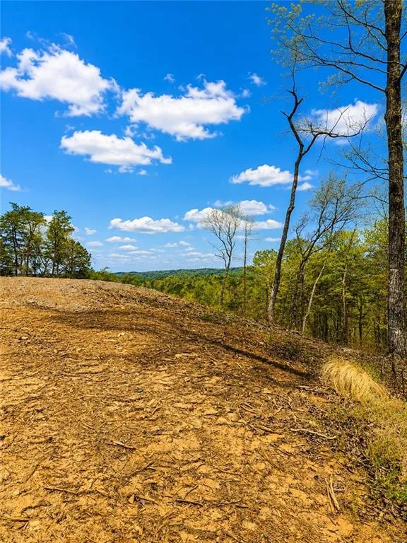 0 Canoe Way Talking Rock, GA 30175