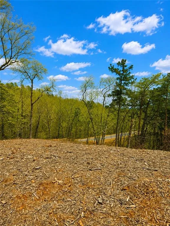 0 Canoe Way Talking Rock, GA 30175