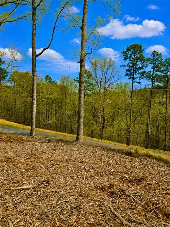 0 Canoe Way Talking Rock, GA 30175