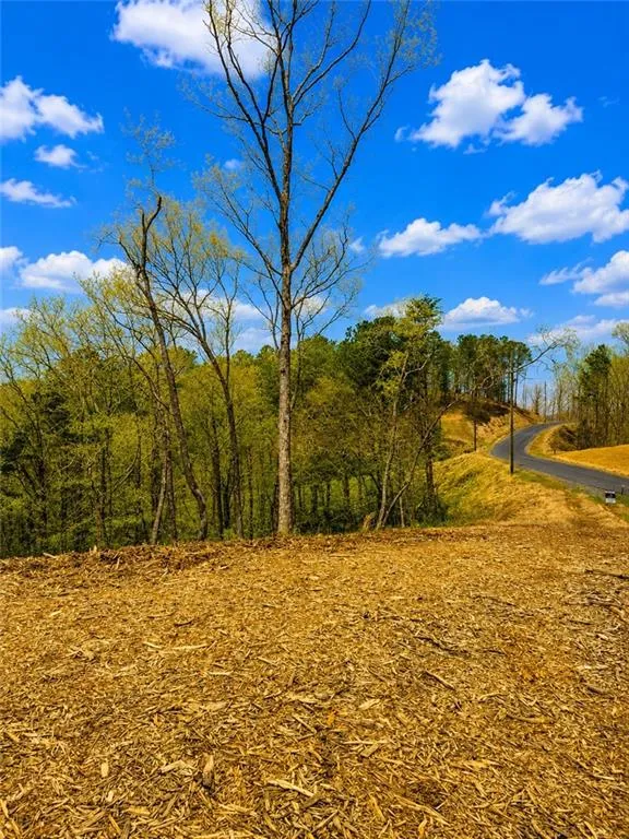 0 Canoe Way Talking Rock, GA 30175