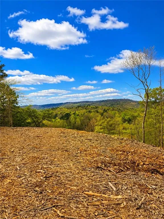 0 Canoe Way Talking Rock, GA 30175