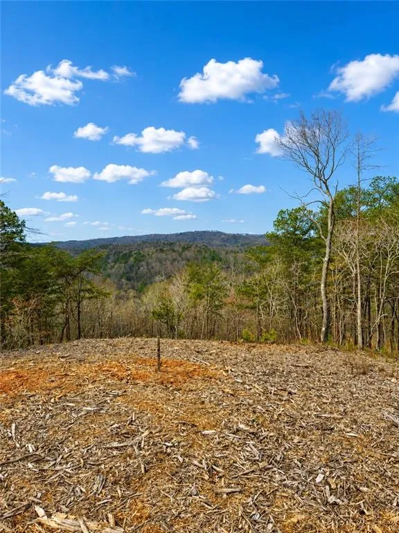 0 Canoe Way Talking Rock, GA 30175