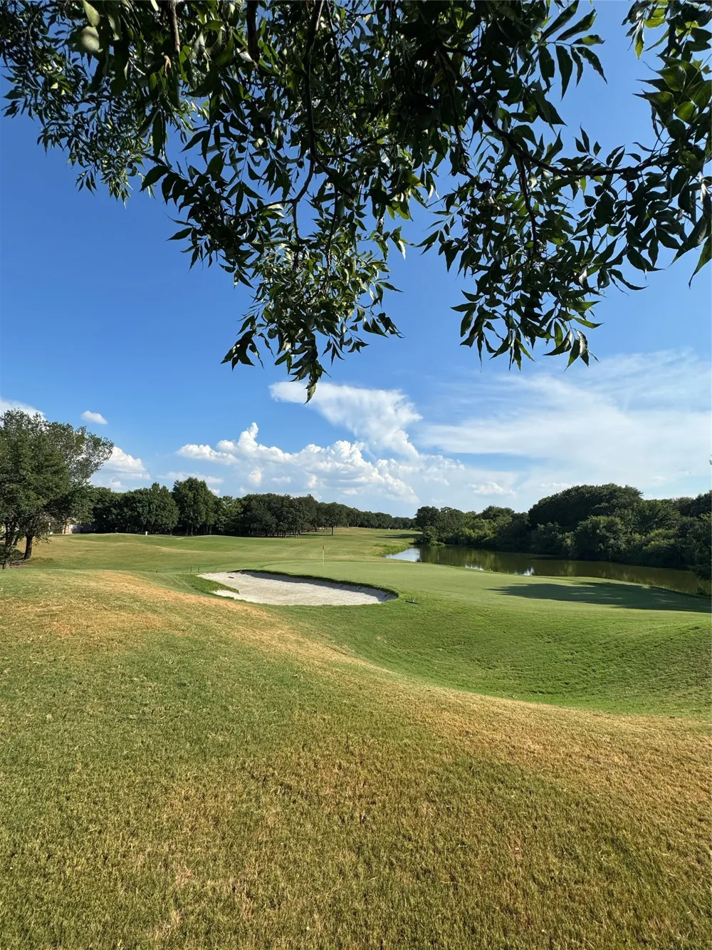 4730 Hampshire Drive Flower Mound, TX 75028