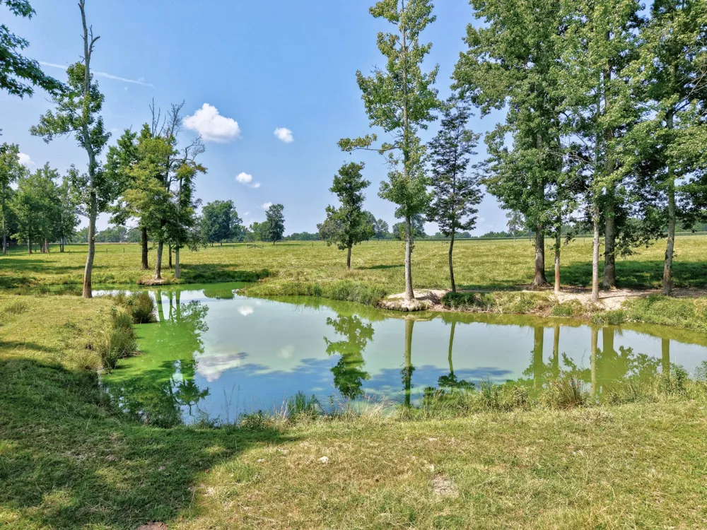 214 Camargo Rd Fayetteville, TN 37334