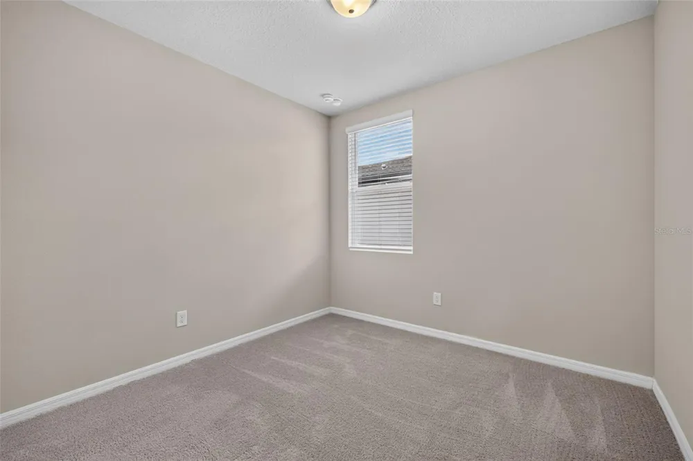 3087 FORREST PLUM COURT Zephyrhills, FL 33540