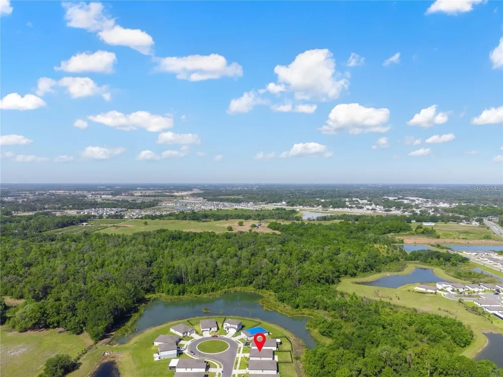 3087 FORREST PLUM COURT Zephyrhills, FL 33540