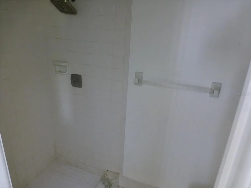 119 LAKESIDE DRIVE #119 Oldsmar, FL 34677