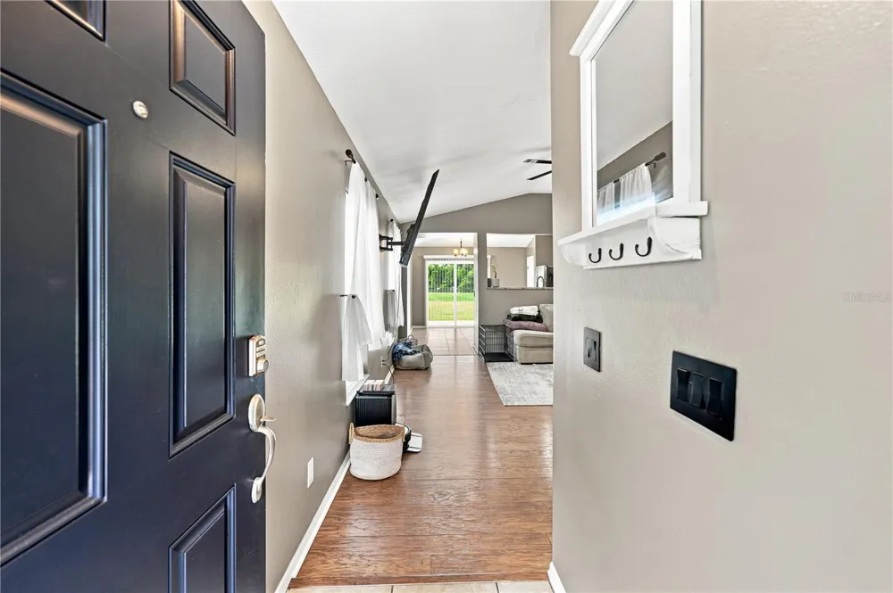 5217 MANGO FRUIT STREET Seffner, FL 33584