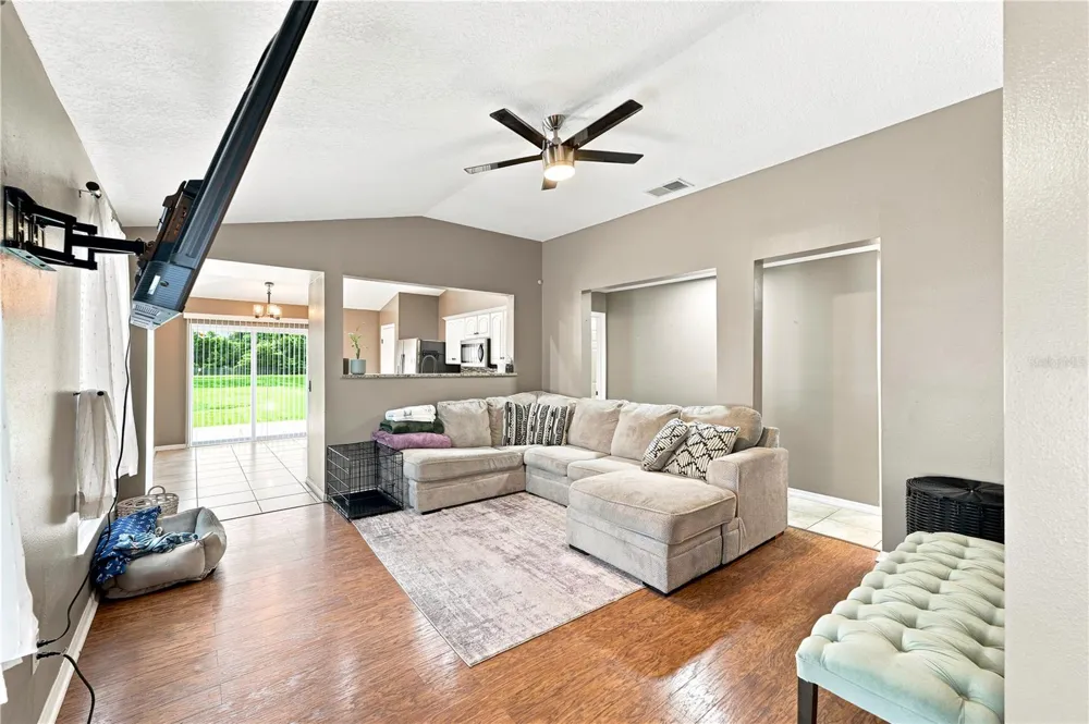 5217 MANGO FRUIT STREET Seffner, FL 33584