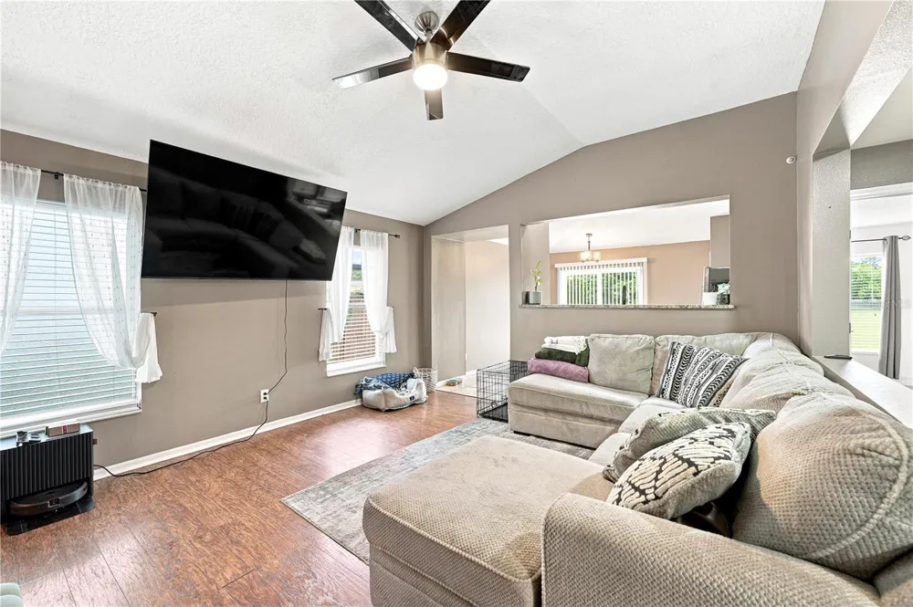 5217 MANGO FRUIT STREET Seffner, FL 33584