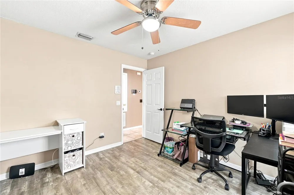 5217 MANGO FRUIT STREET Seffner, FL 33584