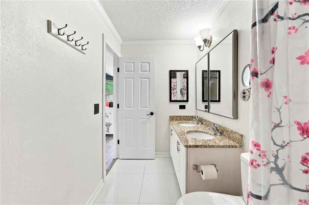 5217 MANGO FRUIT STREET Seffner, FL 33584