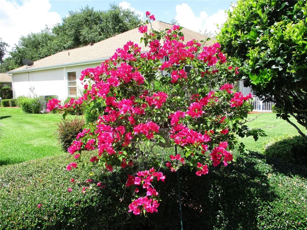 11588 SW 139TH PLACE Dunnellon, FL 34432