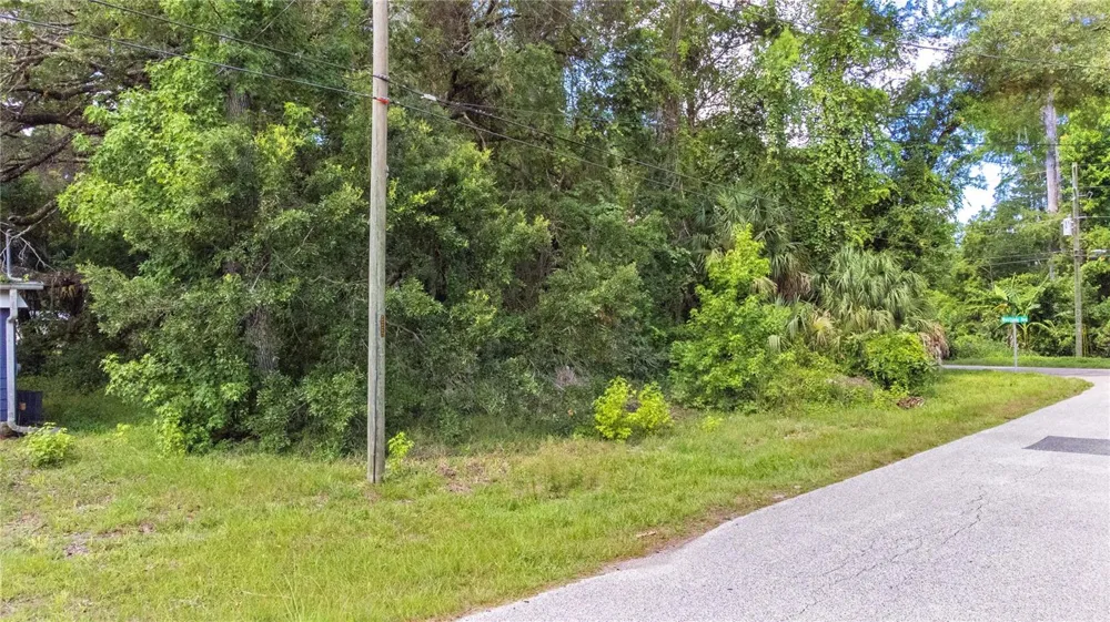 6416 THERESA AVENUE Weeki Wachee, FL 34607