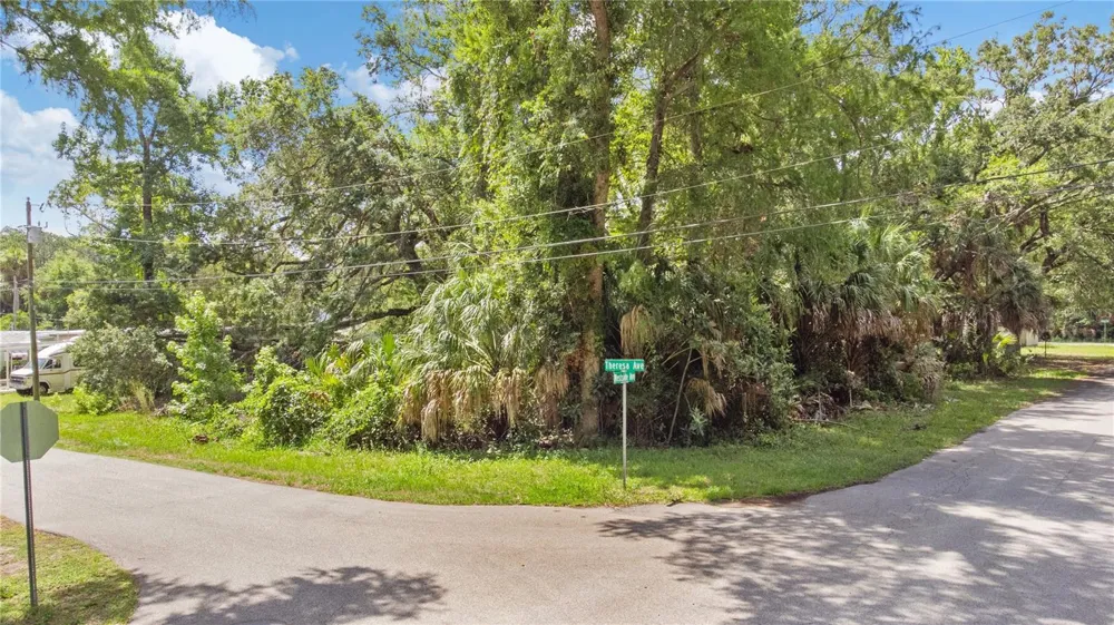 6416 THERESA AVENUE Weeki Wachee, FL 34607