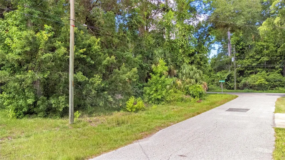 6416 THERESA AVENUE Weeki Wachee, FL 34607