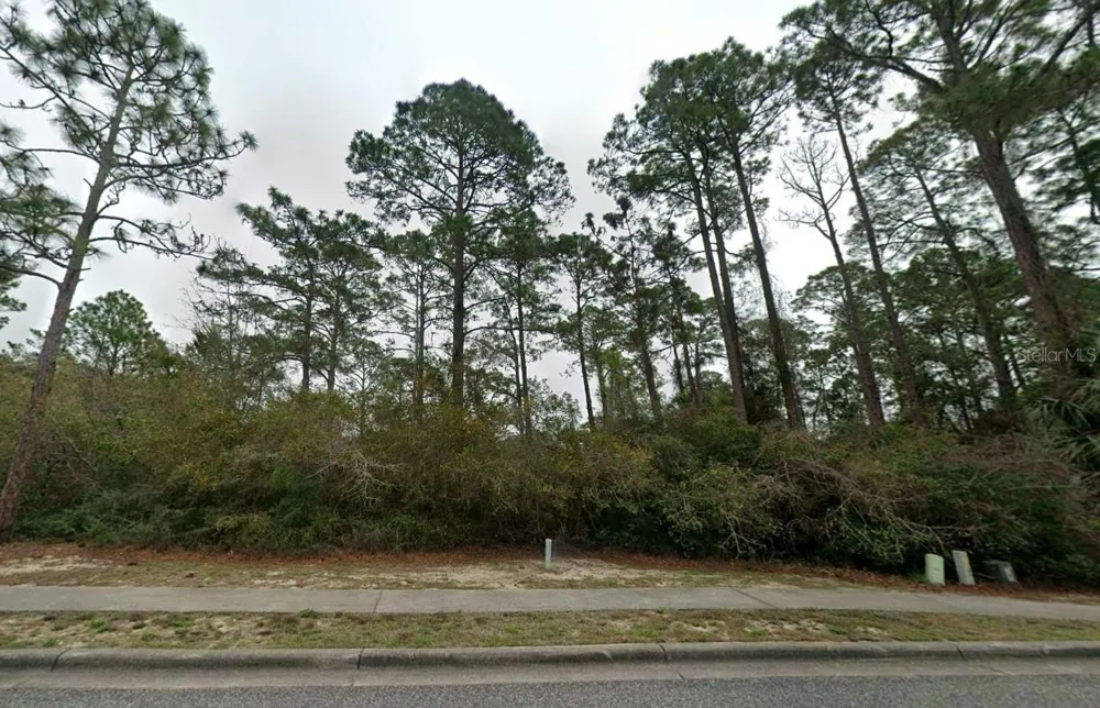 126 LAUGHING GULL LANE Carrabelle, FL 32322