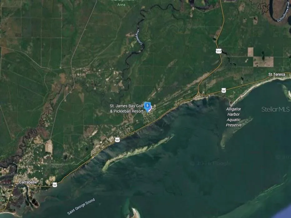 126 LAUGHING GULL LANE Carrabelle, FL 32322