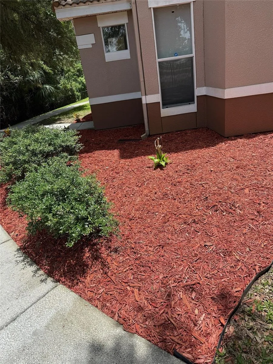 18138 VILLA CREEK DRIVE #18138 Tampa, FL 33647