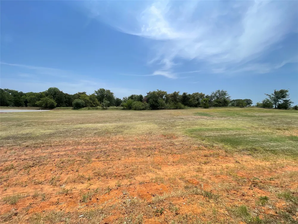 60 Wing Haven Court Gordonville, TX 76245
