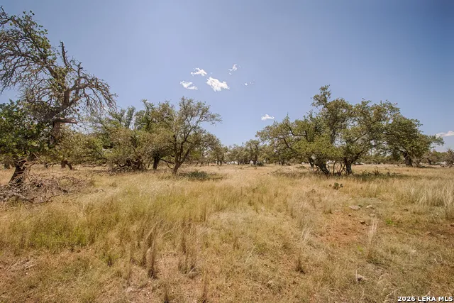 LOT 86 Stock Pond Drive Harper, TX 78631