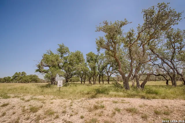 LOT 86 Stock Pond Drive Harper, TX 78631