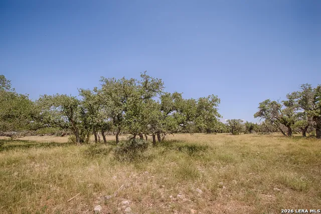 LOT 86 Stock Pond Drive Harper, TX 78631