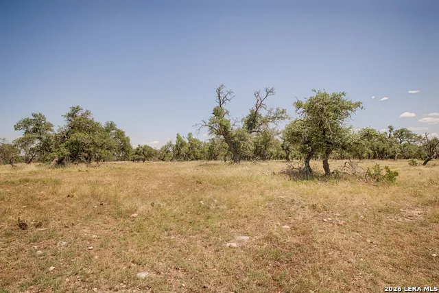 LOT 86 Stock Pond Drive Harper, TX 78631