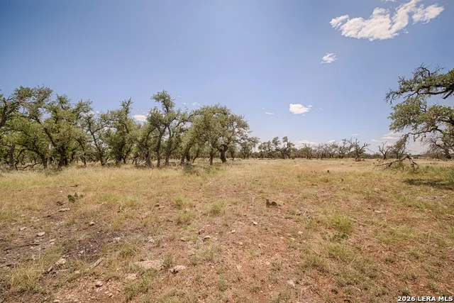 LOT 86 Stock Pond Drive Harper, TX 78631