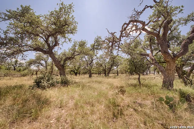 LOT 86 Stock Pond Drive Harper, TX 78631