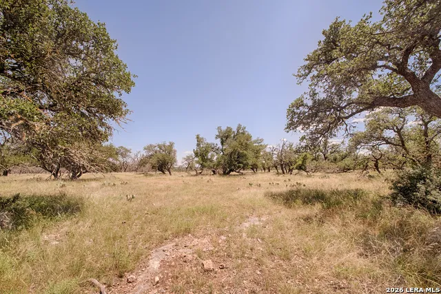 LOT 86 Stock Pond Drive Harper, TX 78631