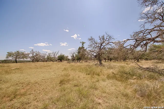 LOT 86 Stock Pond Drive Harper, TX 78631
