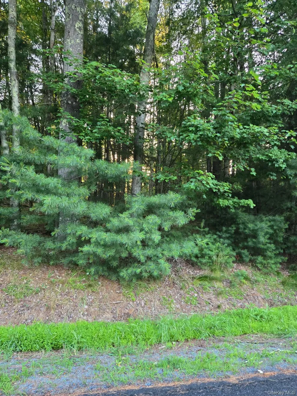 Horseshoe Lake Road Bethel, NY 12764