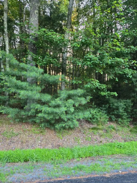 Horseshoe Lake Road