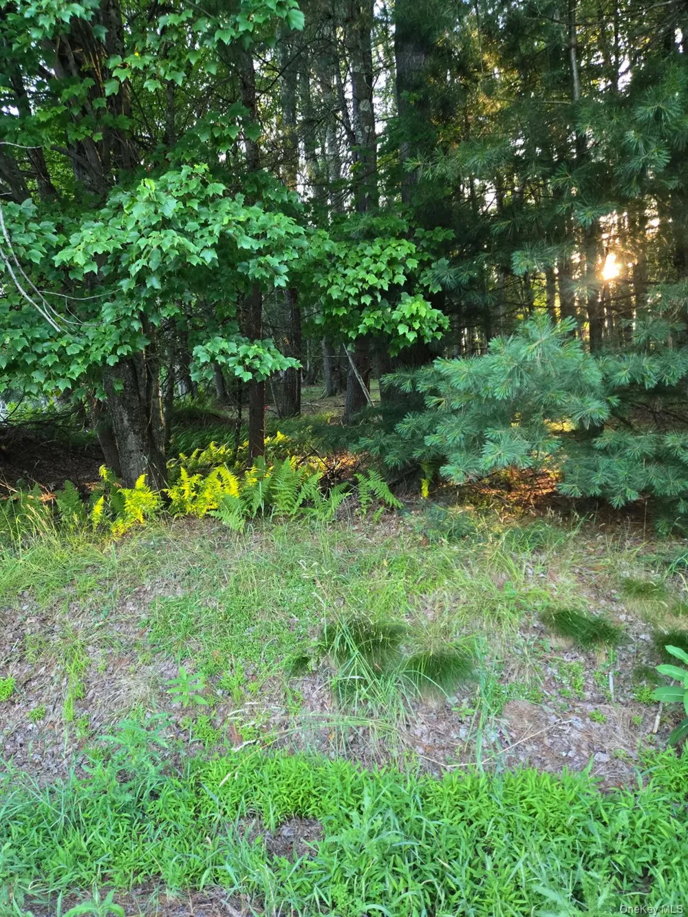 Horseshoe Lake Road Bethel, NY 12764
