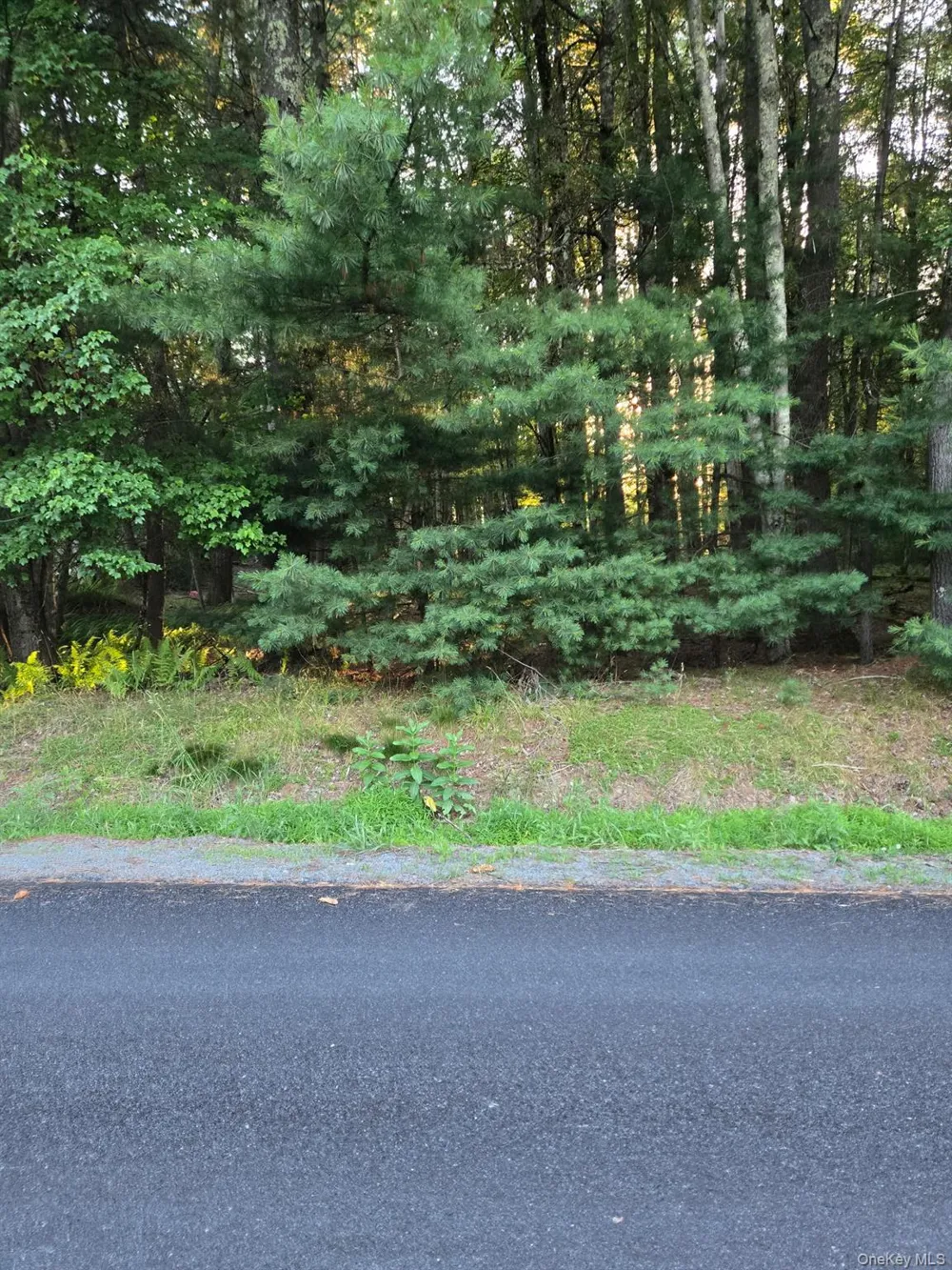 Horseshoe Lake Road Bethel, NY 12764