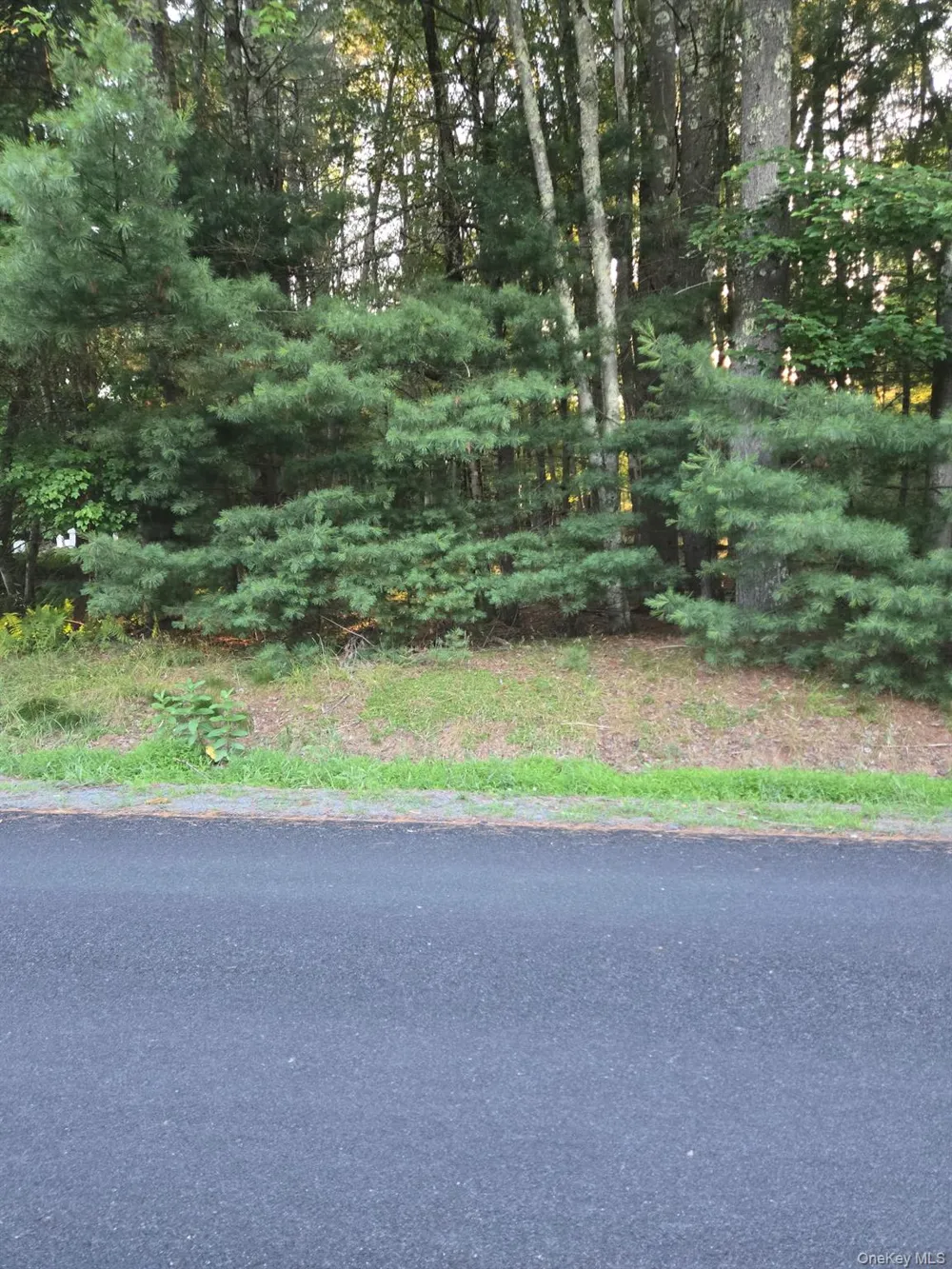 Horseshoe Lake Road Bethel, NY 12764