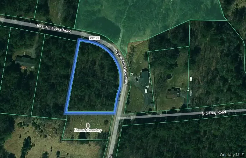Horseshoe Lake Road Bethel, NY 12764